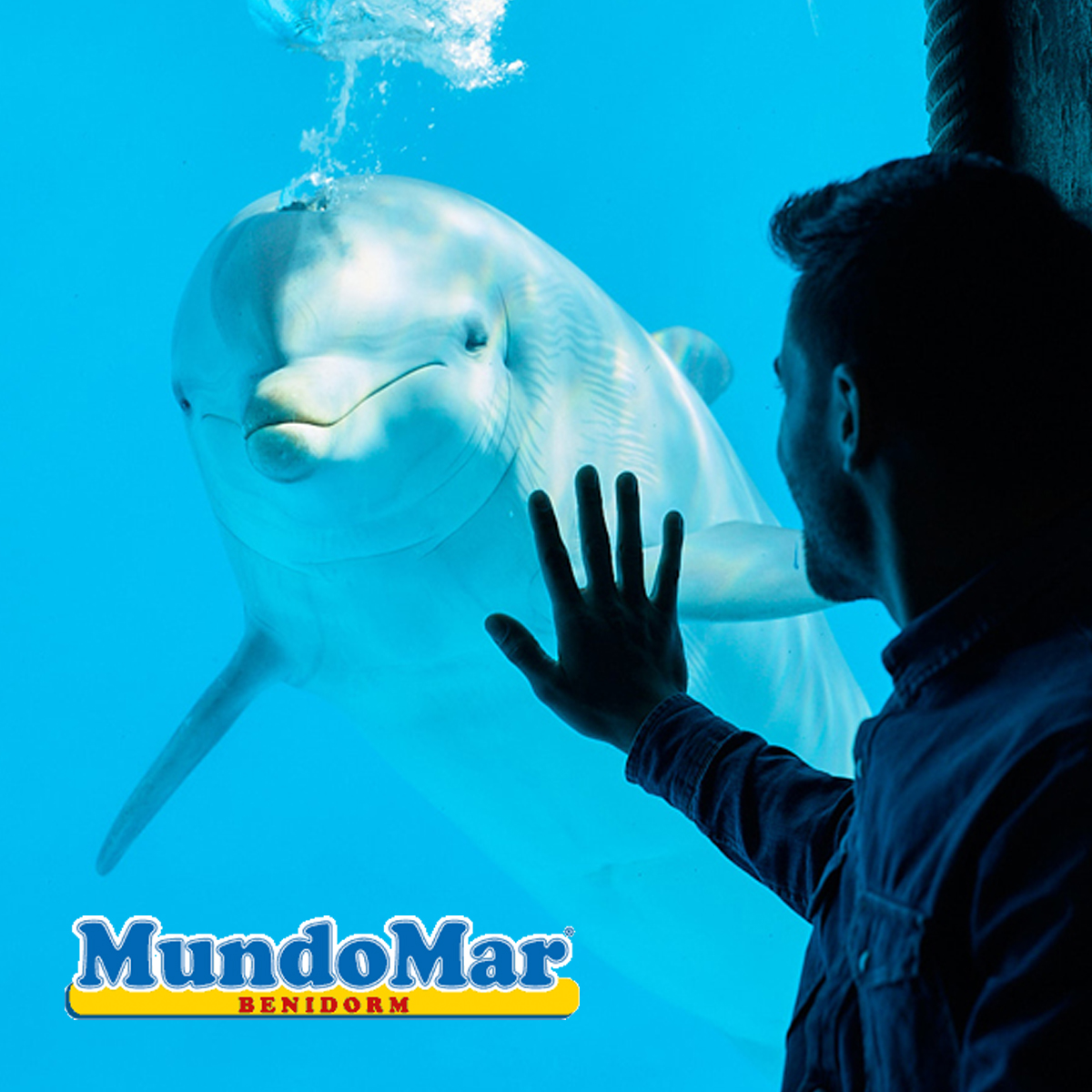 Mundomar_Benidorm